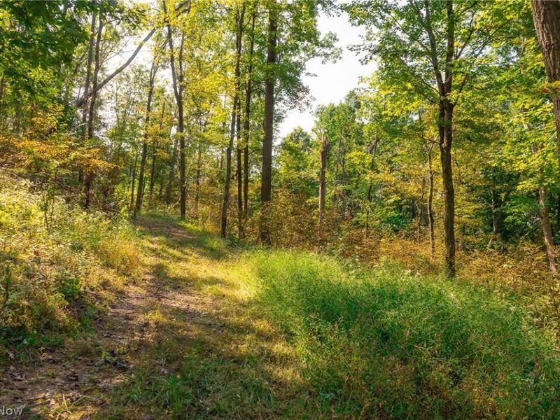 84134 Brewer Road, Cadiz, OH 43907 Photo 15