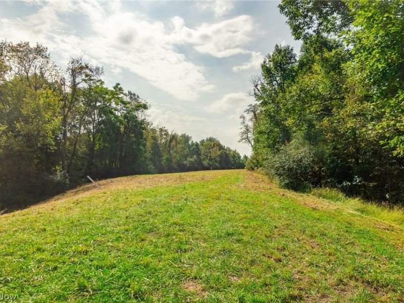 84134 Brewer Road, Cadiz, OH 43907 Photo 27