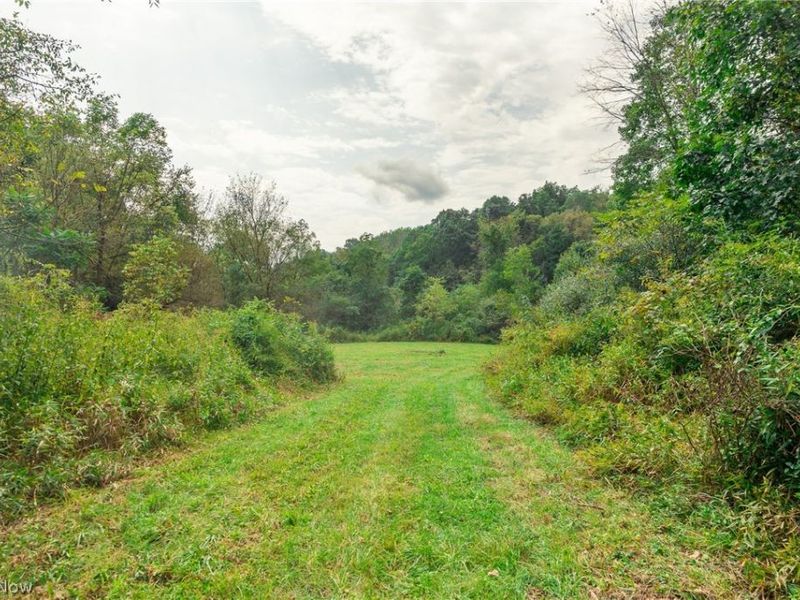 84134 Brewer Road, Cadiz, OH 43907 Photo 40