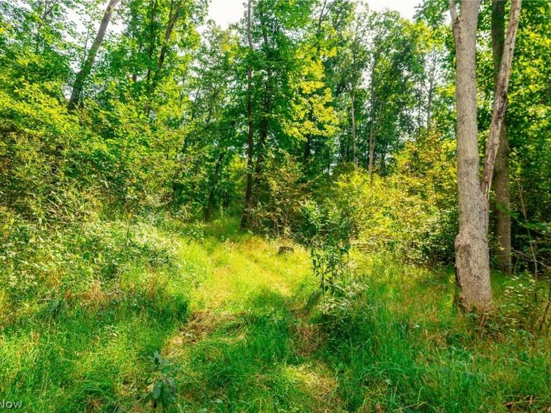 84134 Brewer Road, Cadiz, OH 43907 Photo 44