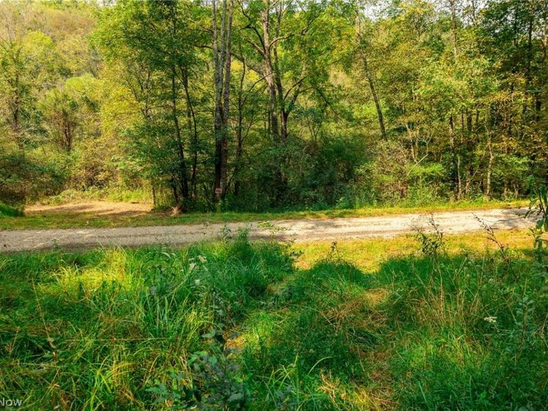 84134 Brewer Road, Cadiz, OH 43907 Photo 50