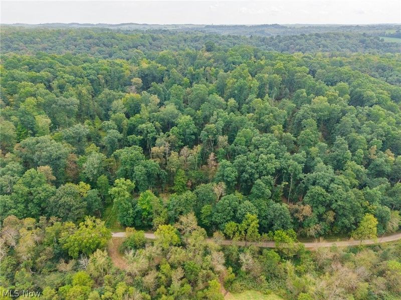 84134 Brewer Road, Cadiz, OH 43907 Photo 8