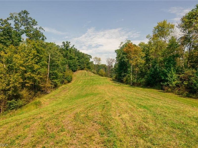 84134 Brewer Road, Unit 1, Cadiz, OH 43907 Photo 3