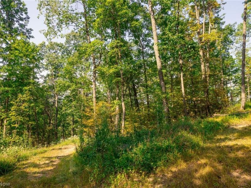 84134 Brewer Road, Unit 1, Cadiz, OH 43907 Photo 5