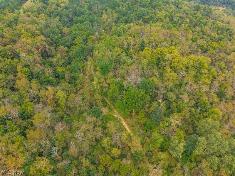 84134 Brewer Road, Unit 2, Cadiz, OH 43907 Photo 48