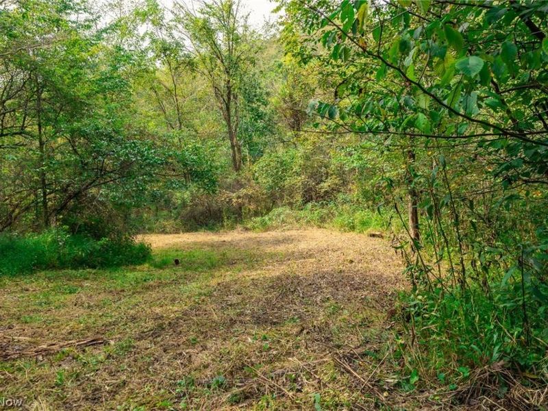 84134 Brewer Road, Unit 3, Cadiz, OH 43907 Photo 7