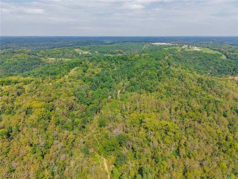 84134 Brewer Road, Unit 4, Cadiz, OH 43907 Photo 32