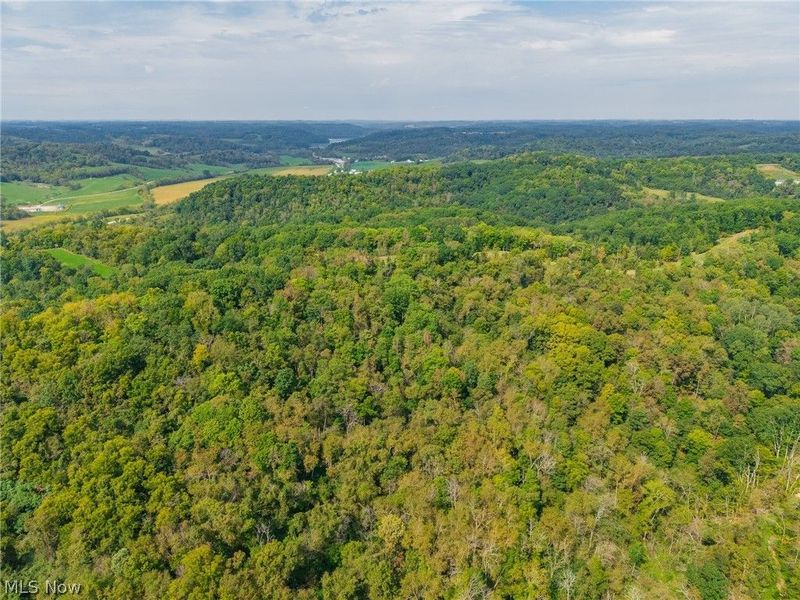 84134 Brewer Road, Unit 4, Cadiz, OH 43907 Photo 33