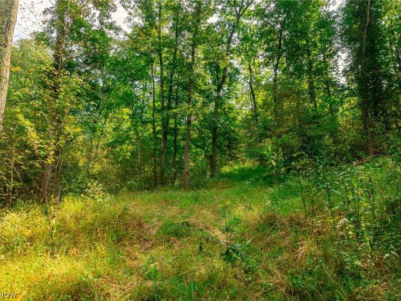 84134 Brewer Road, Unit 4, Cadiz, OH 43907 Photo 8