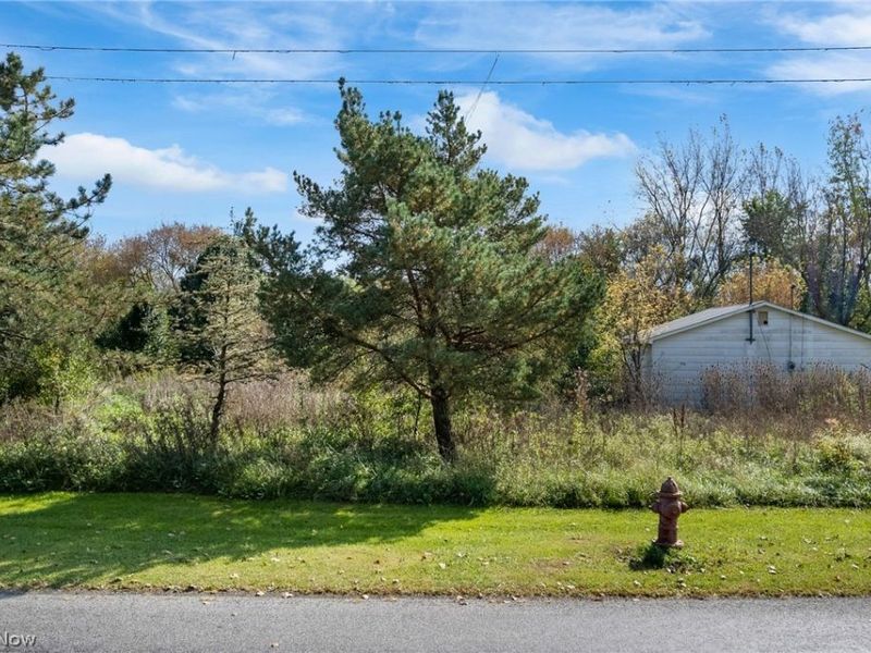 V/L Lot #2 Myers Street, Creston, OH 44217 Photo 2