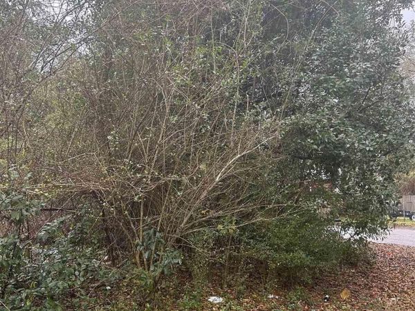 Lot 11, Blk 3 Mcconnell St, Brewton, AL 36426