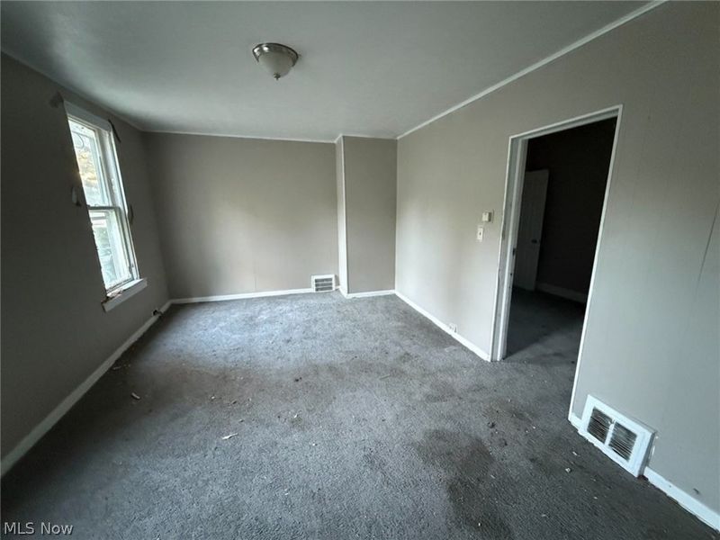 653 E 159th Street, Cleveland, OH 44110 Photo 3