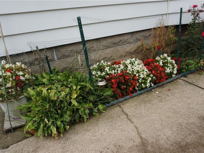 19708 Shawnee Avenue S, Cleveland, OH 44119 Photo 18