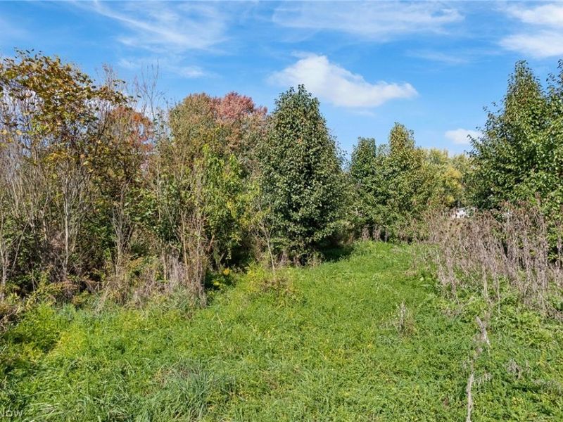 V/L Lot #1 Myers Street, Creston, OH 44217 Photo 2