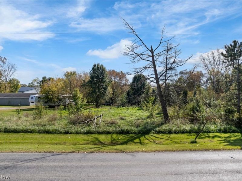 V/L Lot #1 Myers Street, Creston, OH 44217 Photo 3