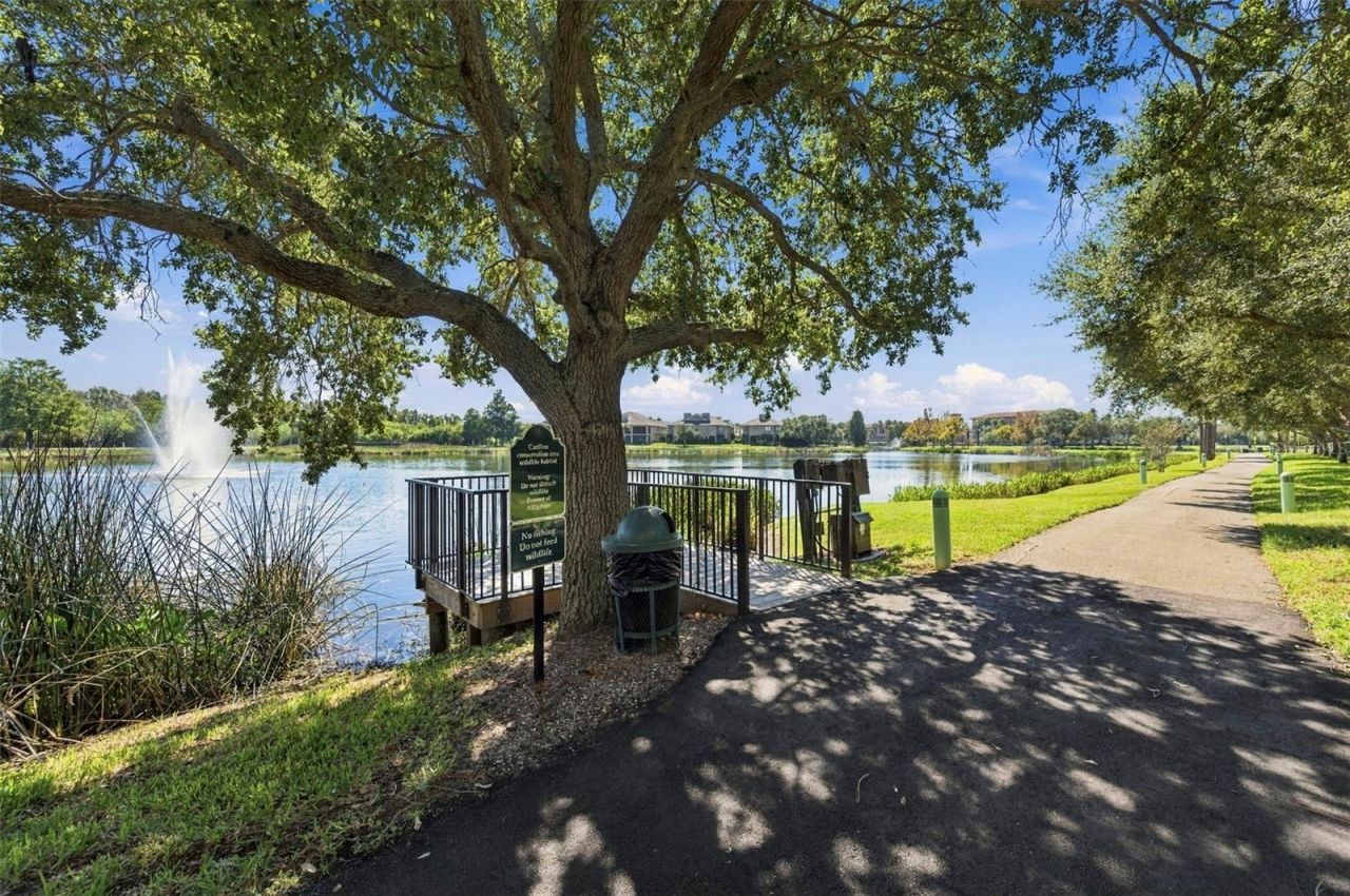 460 Gilman Place N, Saint Petersburg, FL 33716 Photo