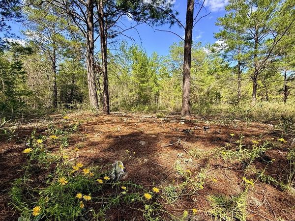 870 Watson Road M, DeFuniak Springs, FL 32433