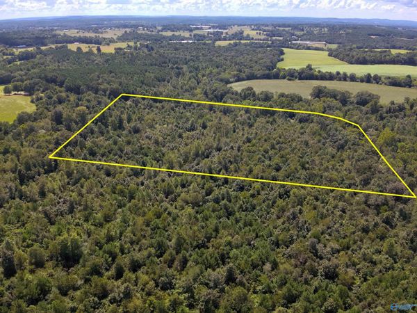 Lot 5 New Harmony Road, Arab, AL 35016