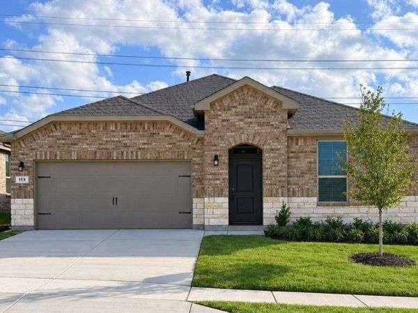 113 RINGTRAIL Drive, Rhome, TX 76078