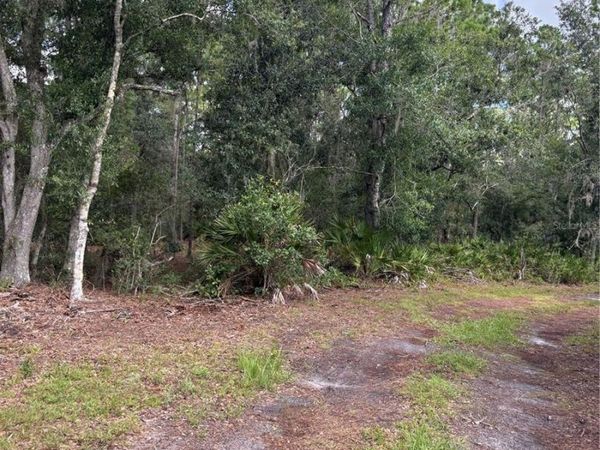5010 WAUCHULA ROAD , MYAKKA CITY, FL 34251