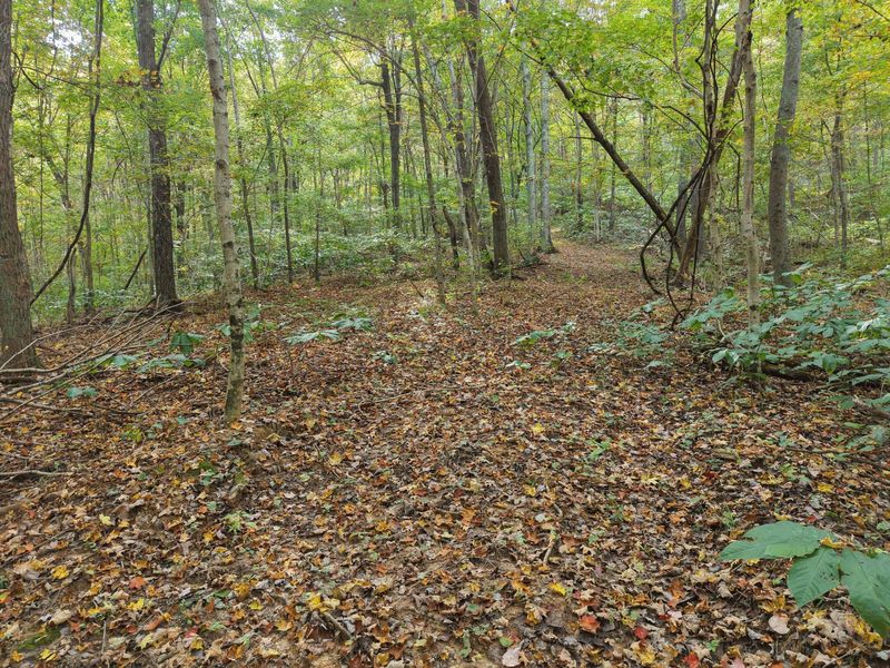 2449 Hickson Run Road , Chillicothe, OH 45601 Photo 77