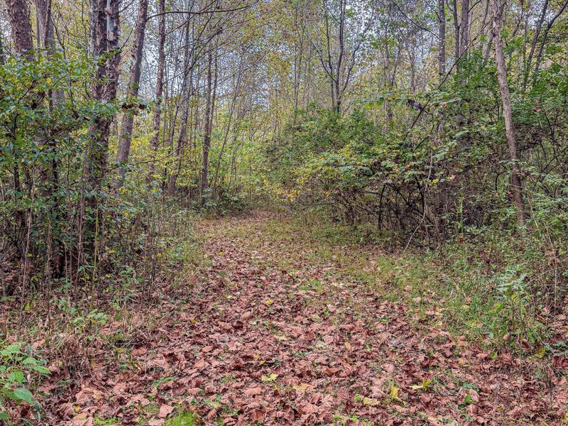 2449 Hickson Run Road , Chillicothe, OH 45601 Photo 78