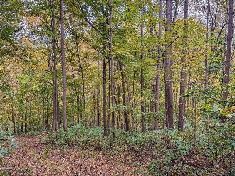 2449 Hickson Run Road , Chillicothe, OH 45601 Photo 79