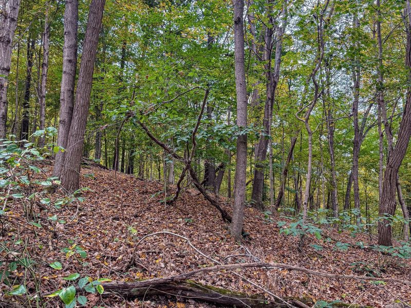 2449 Hickson Run Road , Chillicothe, OH 45601 Photo 80