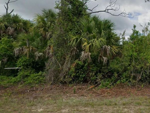 NYMPH AVENUE , NORTH PORT, FL 34288