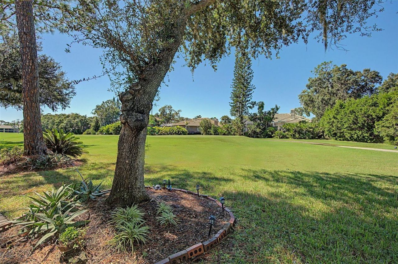 1290 Clays Trail, Unit 1403, Oldsmar, FL 34677 Photo