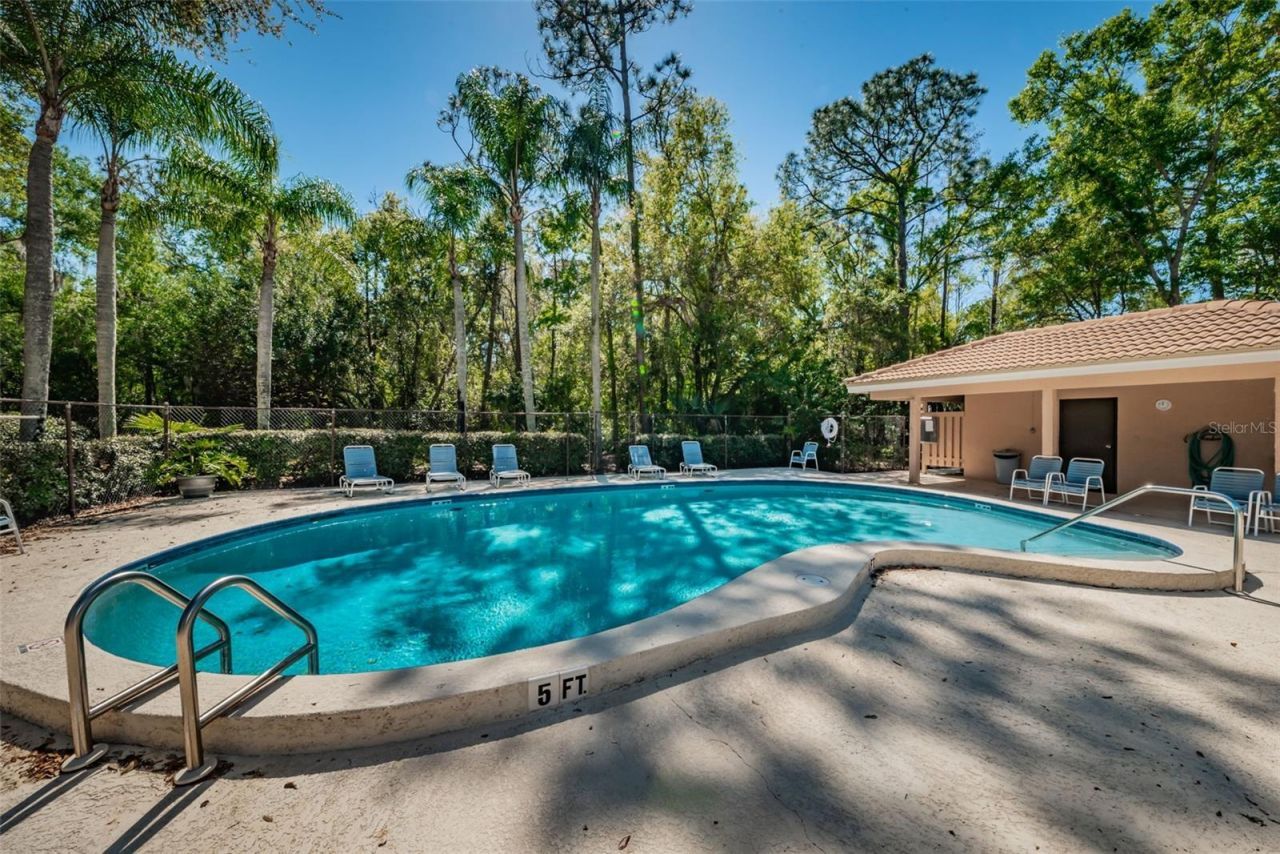 1290 Clays Trail, Unit 1403, Oldsmar, FL 34677 Photo