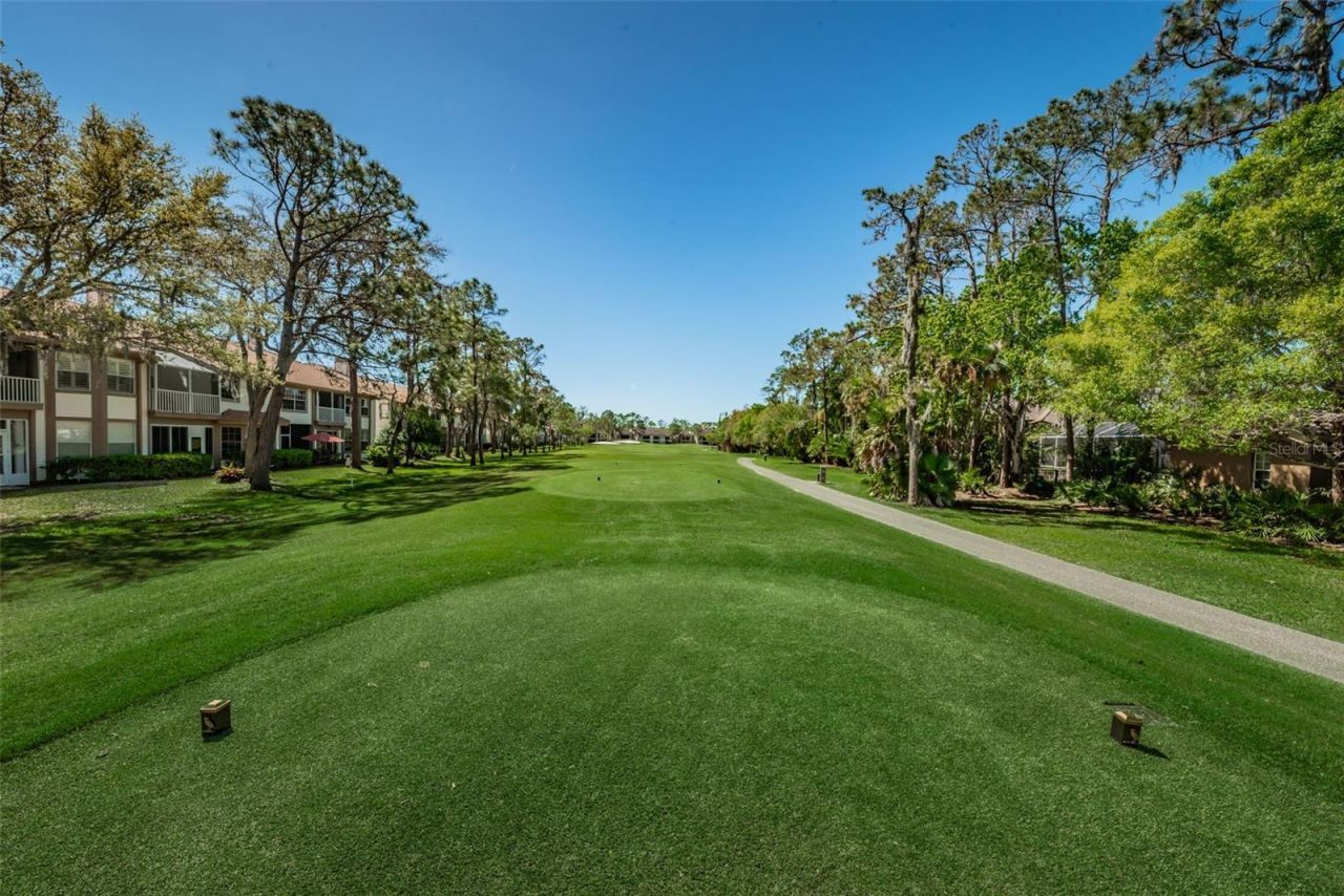 1290 Clays Trail, Unit 1403, Oldsmar, FL 34677 Photo