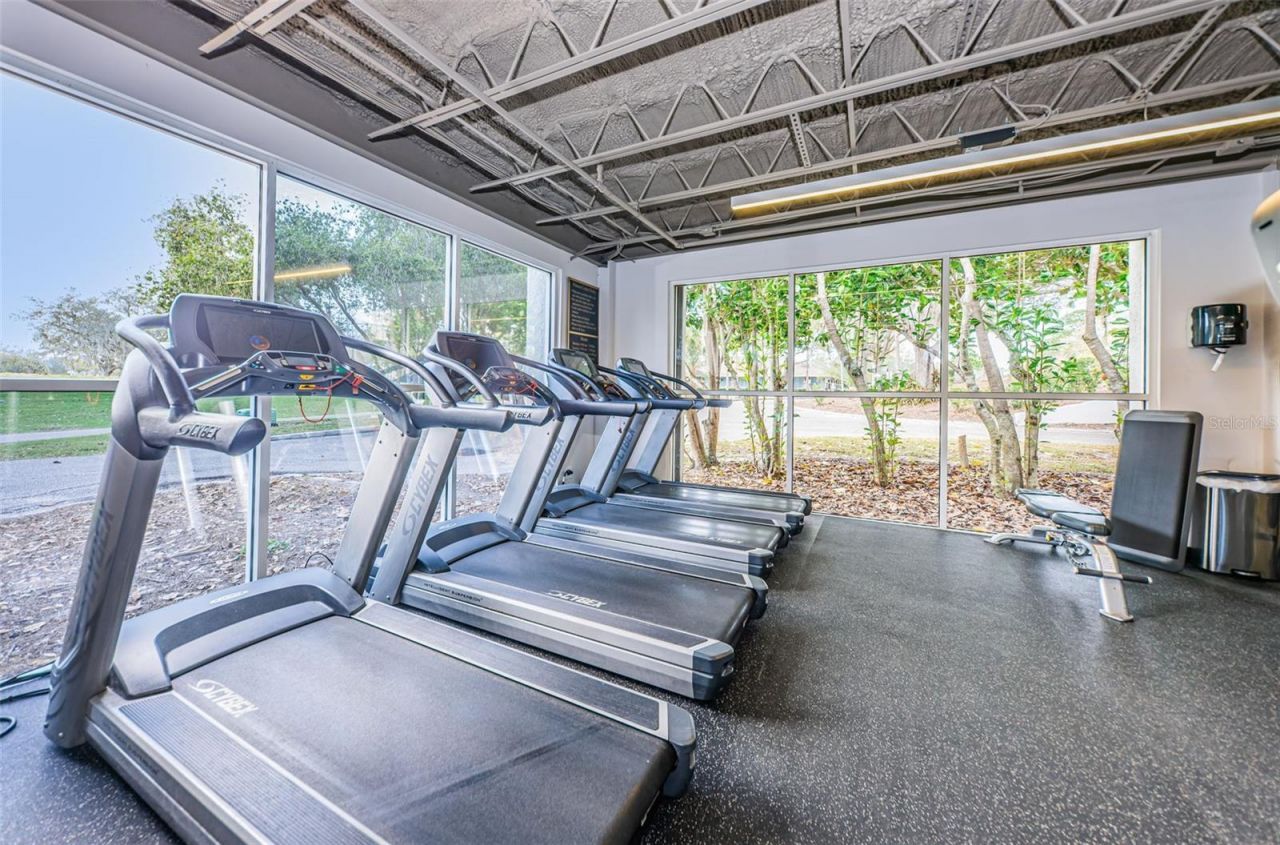 1290 Clays Trail, Unit 1403, Oldsmar, FL 34677 Photo