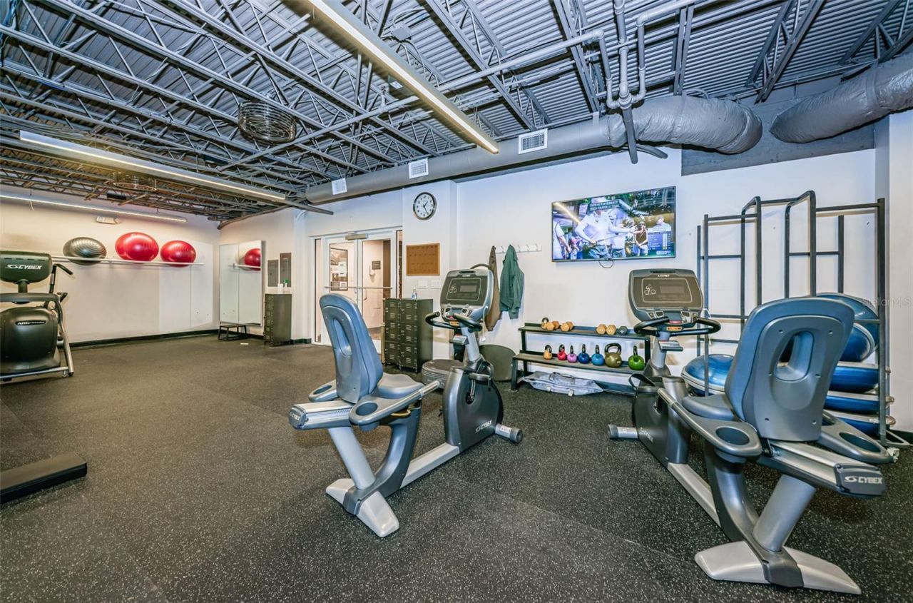 1290 Clays Trail, Unit 1403, Oldsmar, FL 34677 Photo