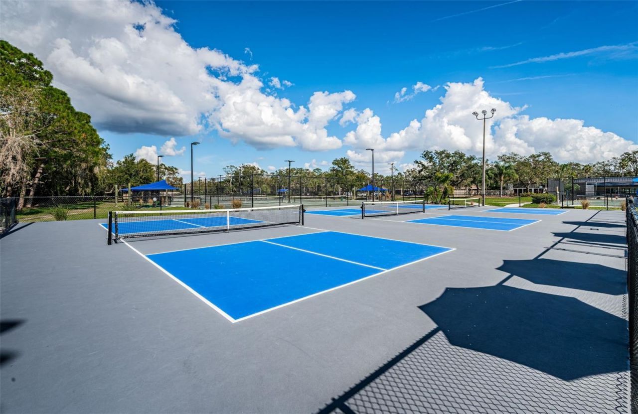 1290 Clays Trail, Unit 1403, Oldsmar, FL 34677 Photo