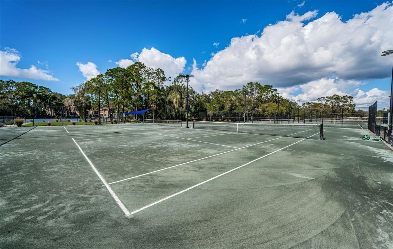 1290 Clays Trail, Unit 1403, Oldsmar, FL 34677 Photo