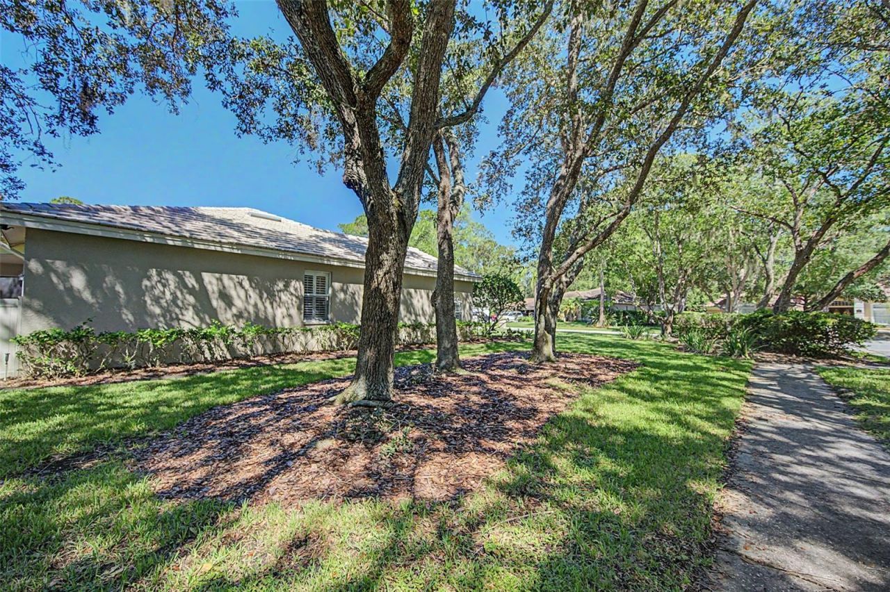 1558 E Lake Woodlands Parkway , Oldsmar, FL 34677 Photo