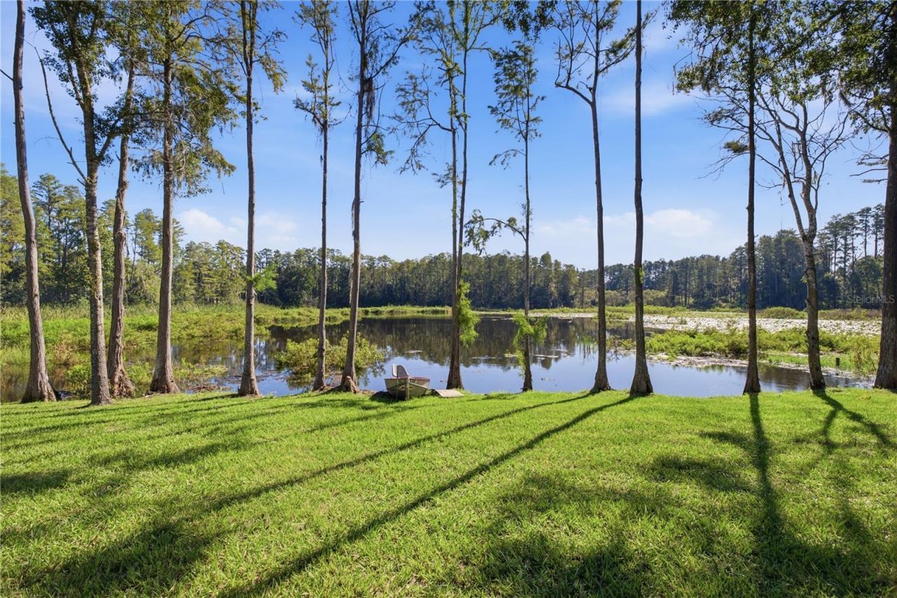 2664 Wilsky Road, Land O Lakes, FL 34639 Photo