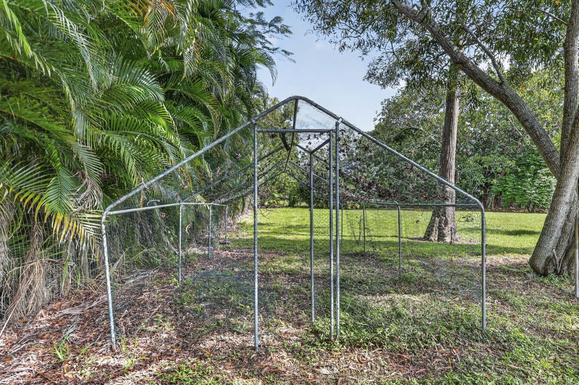 16141 Calder Drive E, The Acreage, FL 33470 Photo