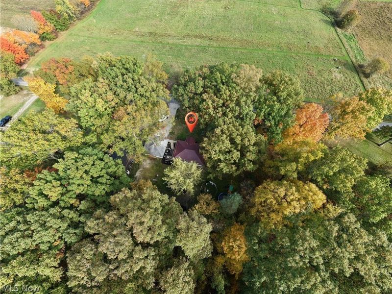 3165 Phalanx Mills Herner Road, Southington, OH 44470 Photo 41