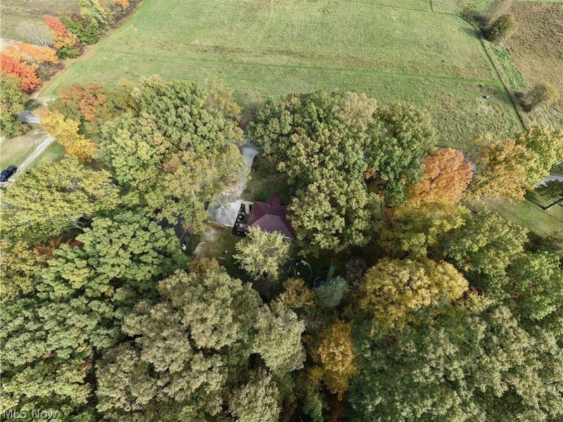3165 Phalanx Mills Herner Road, Southington, OH 44470 Photo 44