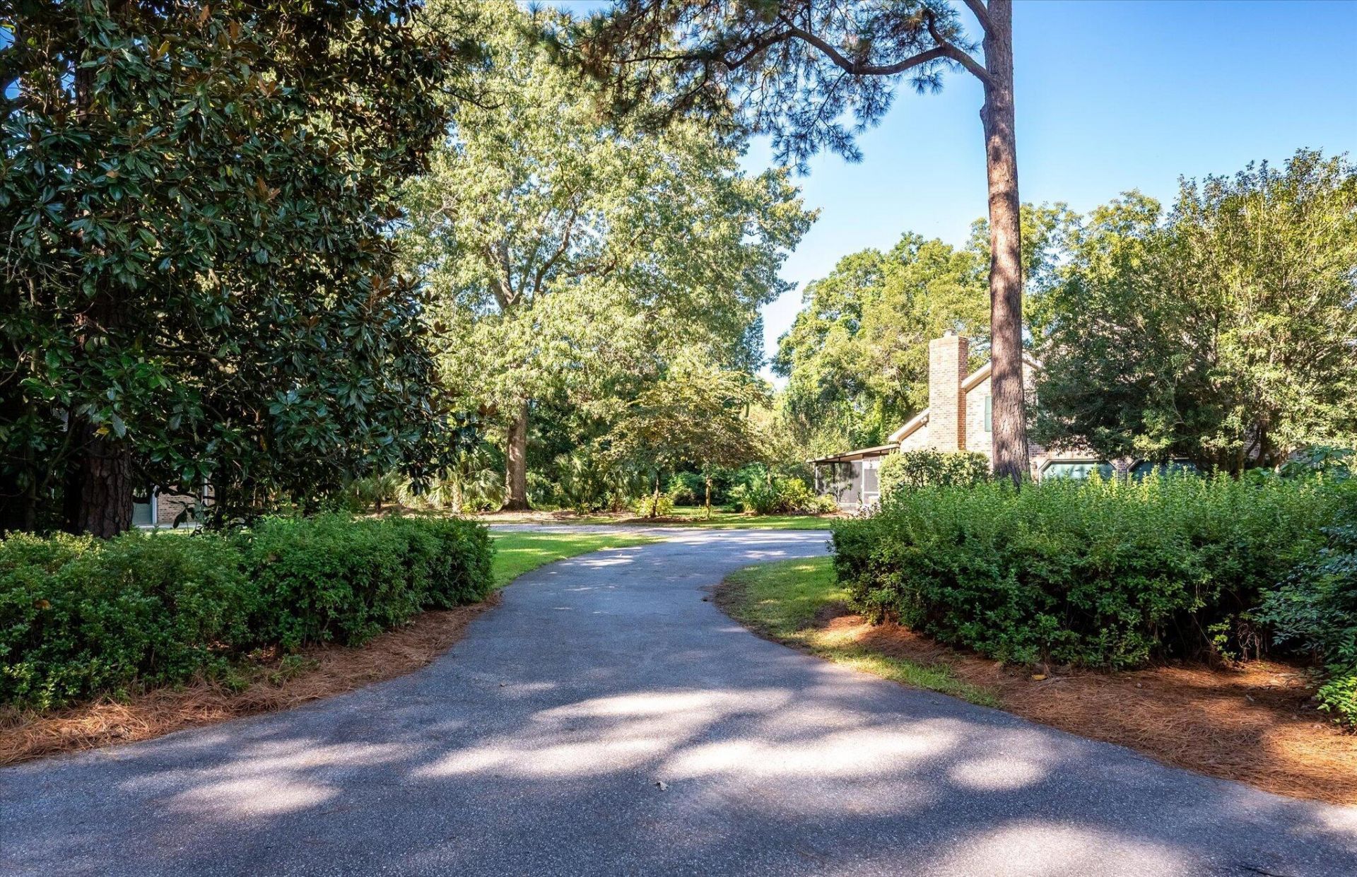 989 Three Trees Road Photo 61