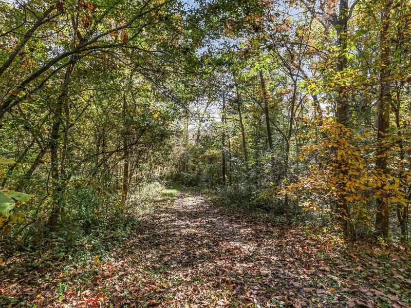 37667 Price Road, Logan, OH 43138 Photo 30