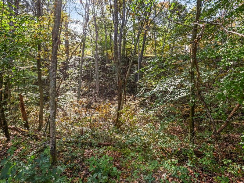 37667 Price Road, Logan, OH 43138 Photo 32