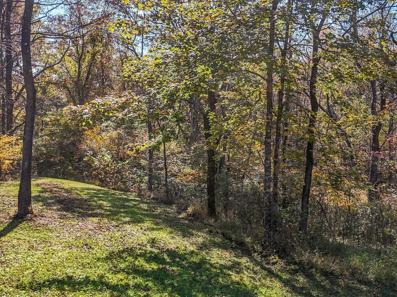 37667 Price Road, Logan, OH 43138 Photo 50