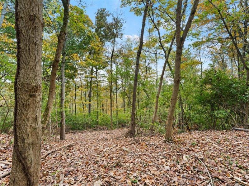 8414 Overlook Drive, Deerfield Township, OH 45039 Photo 5