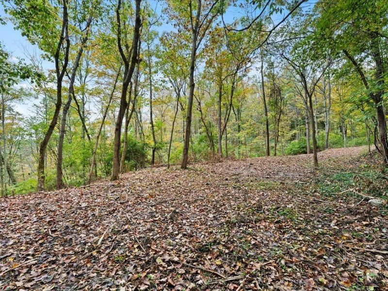 8414 Overlook Drive, Deerfield Township, OH 45039 Photo 7