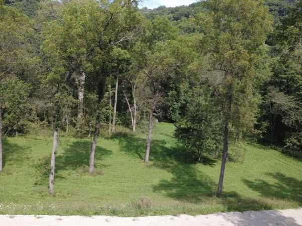 1828 S Road Drive, Lansing, IA 52151
