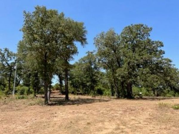 452 Wilhelm WAY , Red Rock, TX 78662