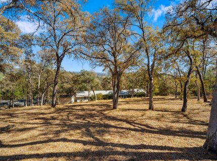 6783 Oak Ln, Placerville, CA 95667 Photo